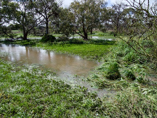 creek photo